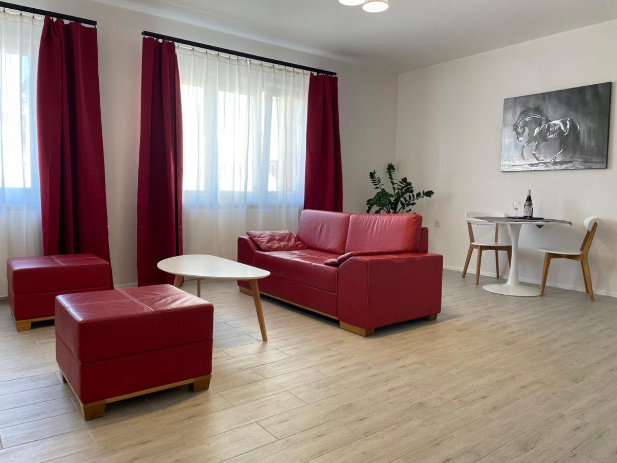 Newly Renovated 2 Rooms Apartment Downtown Nitra Esterno foto
